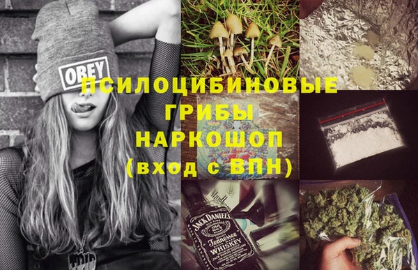 мдпв Нестеровская