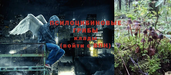 мдпв Нестеровская