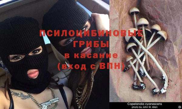 jwh Калининец