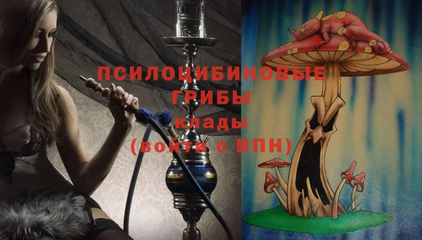 спайс Корсаков